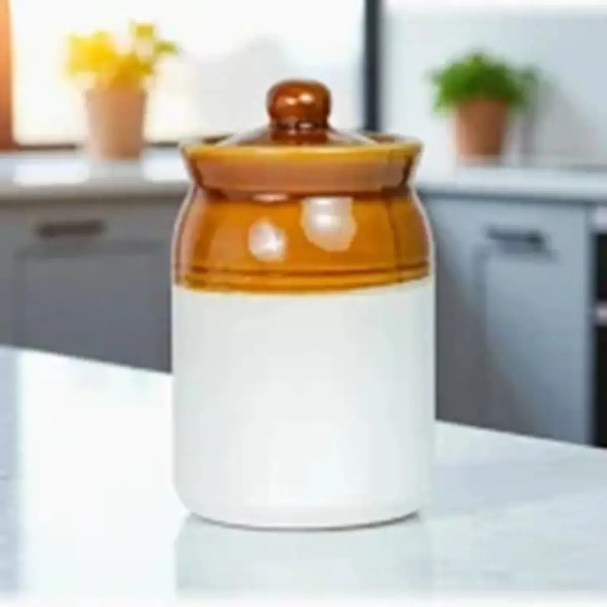 Pickle Jar #3